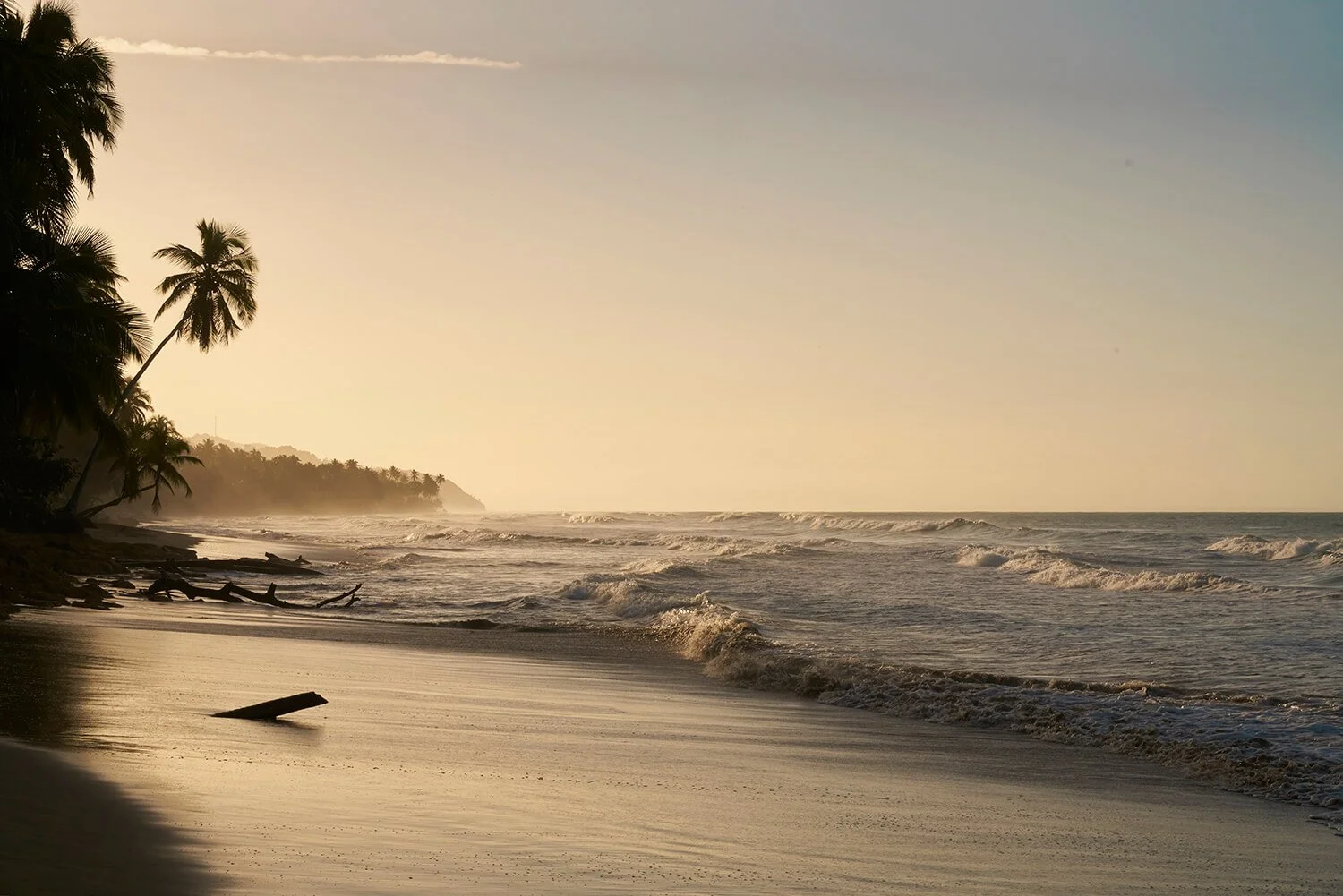 Sunset on a tropical beach with palm trees and waves.
