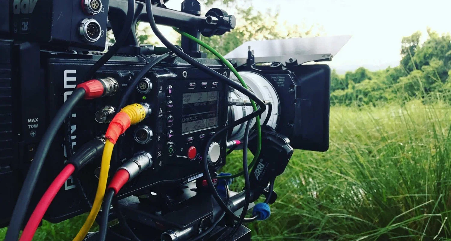 Professional video camera filming a lush, green outdoor landscape with tall grass and trees under a bright sky.