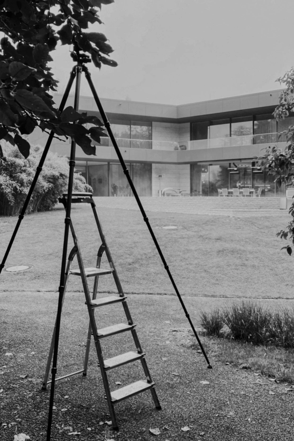 Ein Teleskop auf einem Gartenweg vor einem modernen zweistöckigen Haus, im Hintergrund Bäume und ein gepflegter Garten.