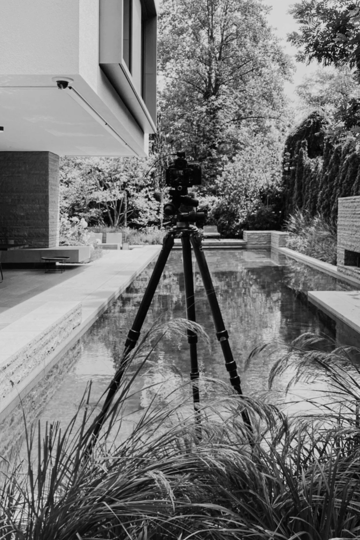 Aufnahmegerät mit Stativ in einem modernen Garten mit Pool, Pflanzen und Bäumen, schwarz-weiß