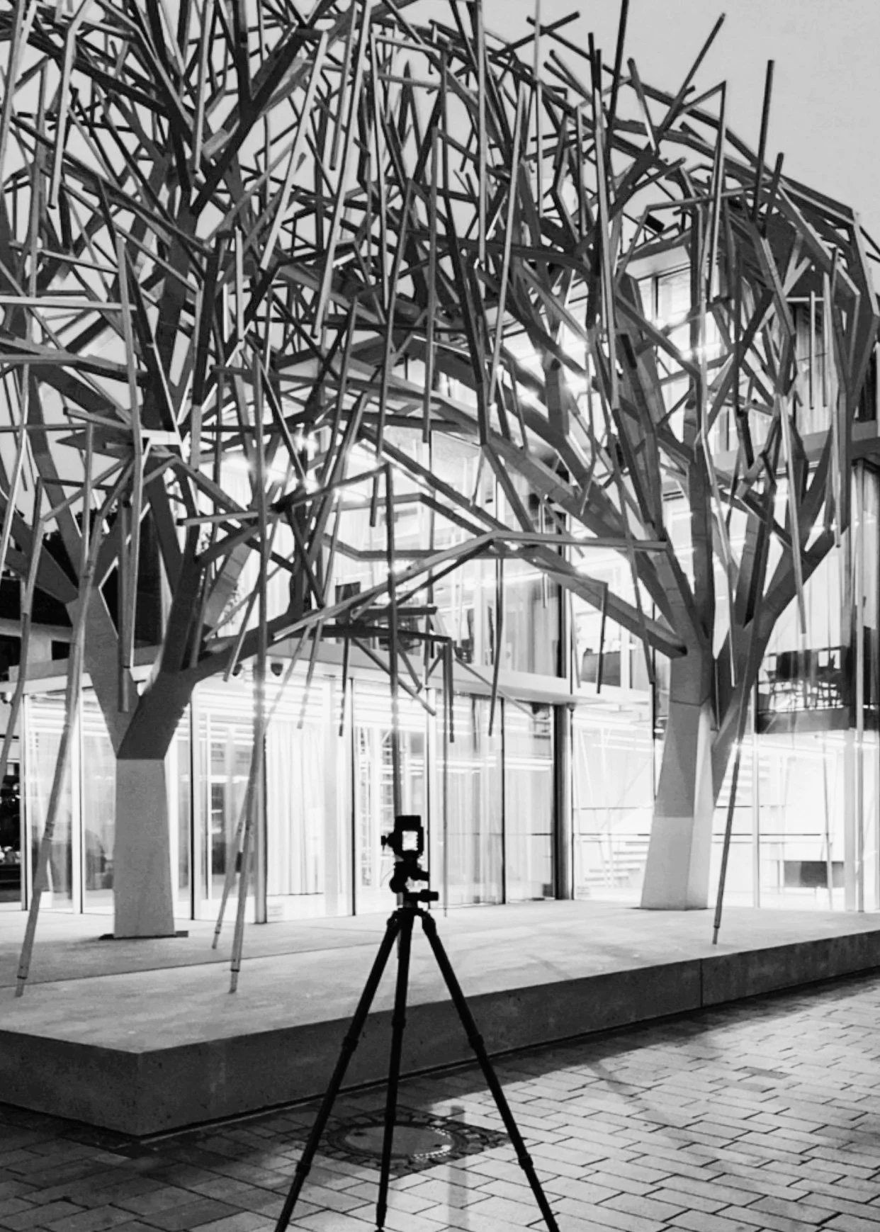 Moderne Architektur mit einem kunstvollen Baumdesign aus Holz und großen Fenstern, nachts fotografiert, eine Kamera auf einem Stativ im Vordergrund.