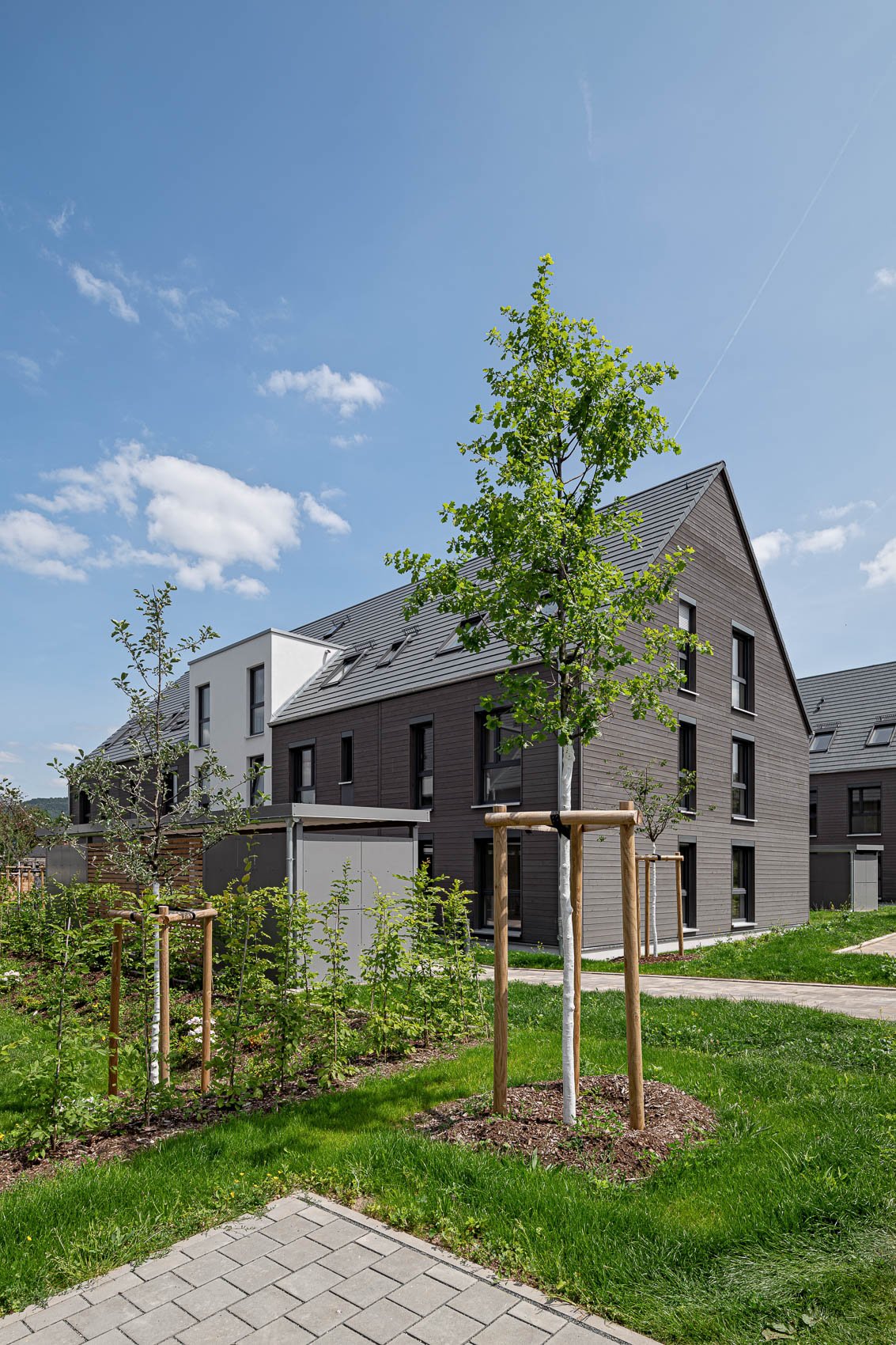 mehrfamilienhaus-aus-holz-02.jpg