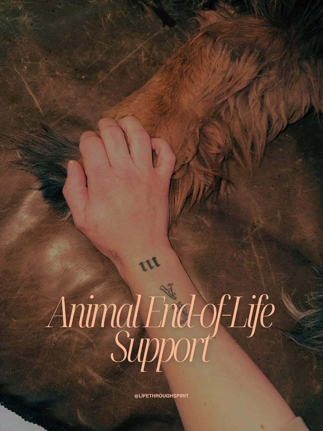 If you&rsquo;re seeking spiritually attuned, heart-led, end-of-life support &amp; ceremony for your animal companion, I invite you to reach out.

In the sacred space between a final heartbeat and the unseen beyond it, I&rsquo;ve witnessed the profoun