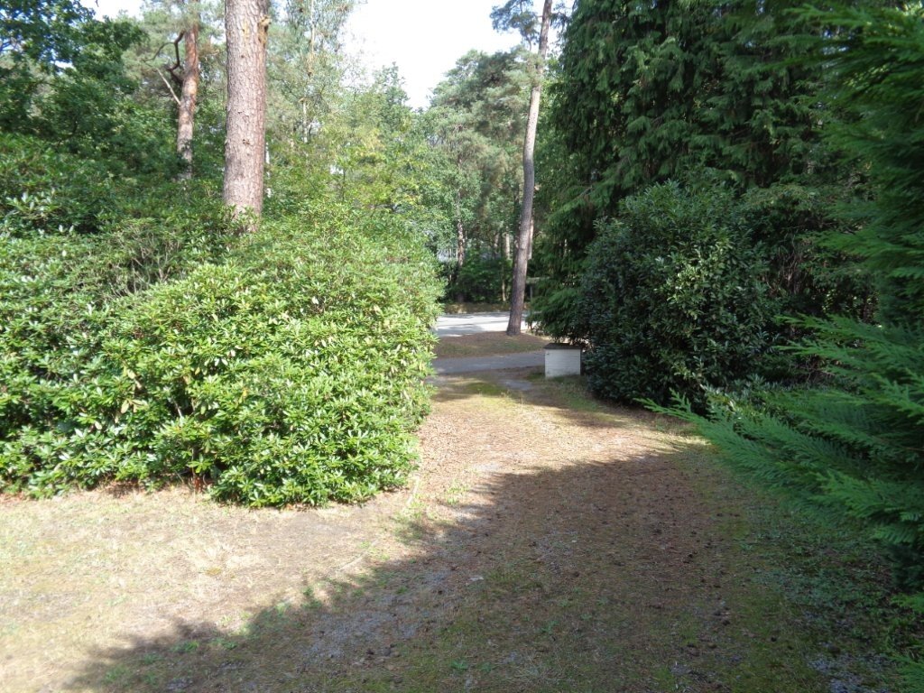 DSC03027.jpg