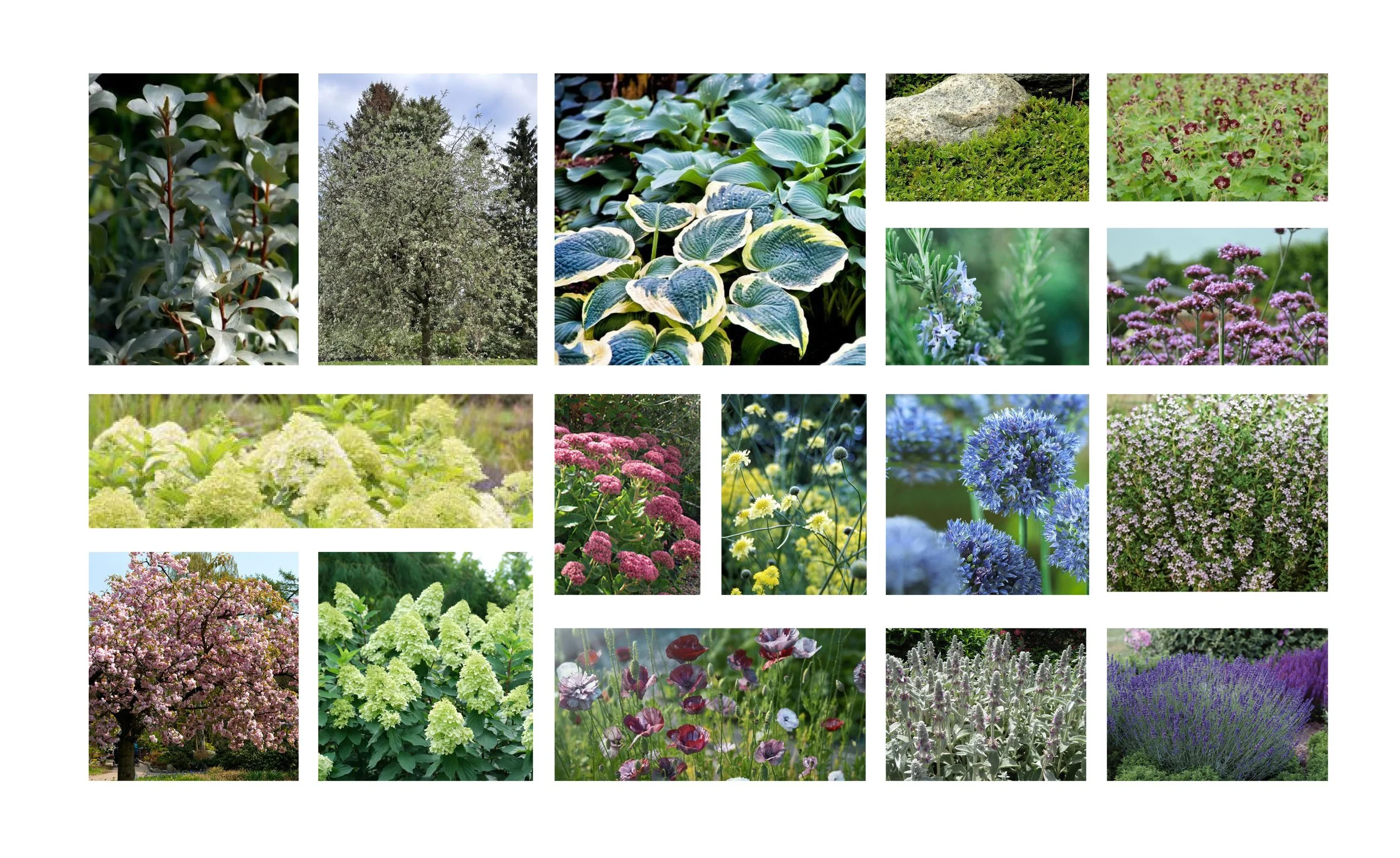 Violvej - visualiseringer-5.jpg