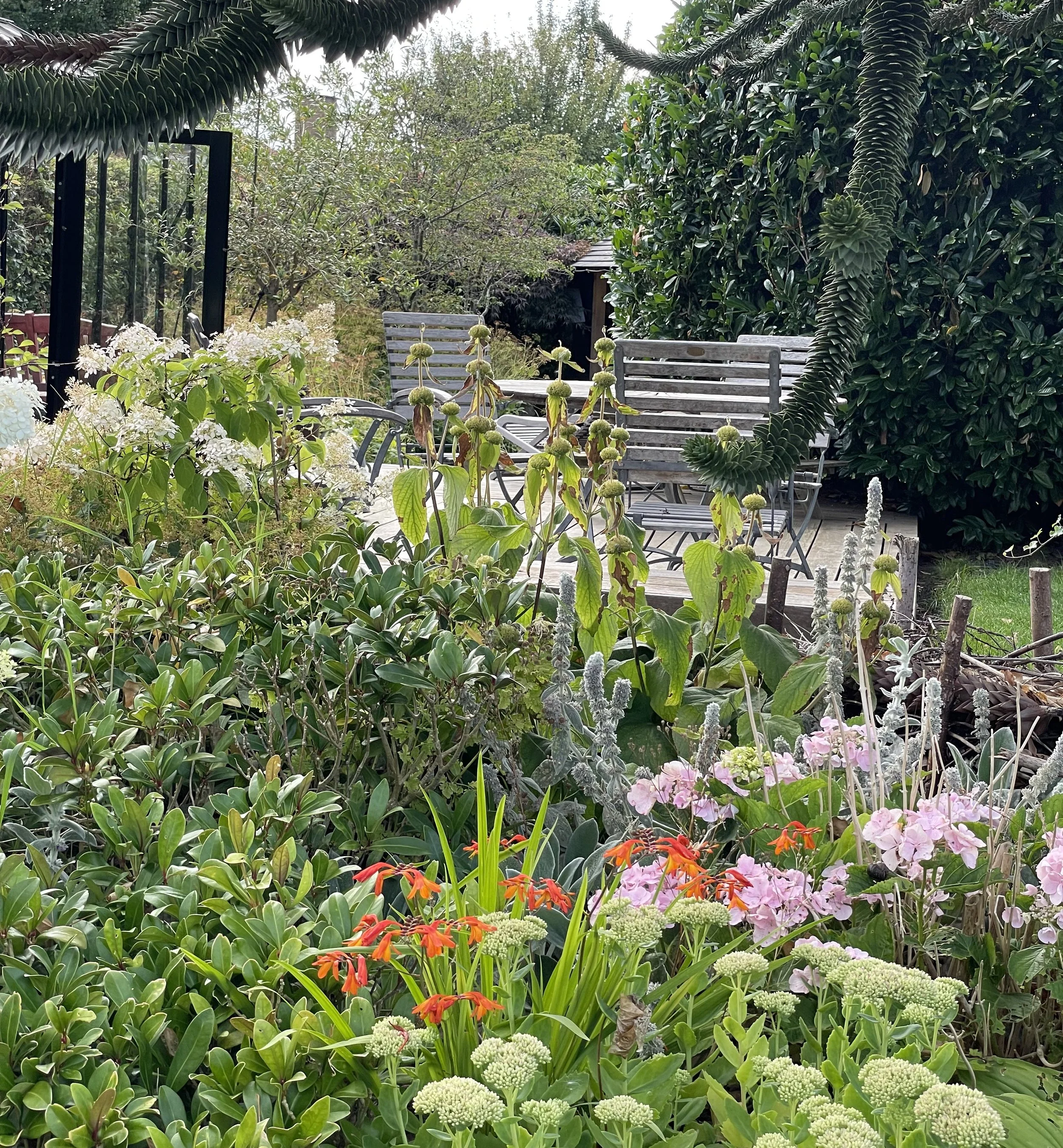 IMG_8216 cropped.jpg