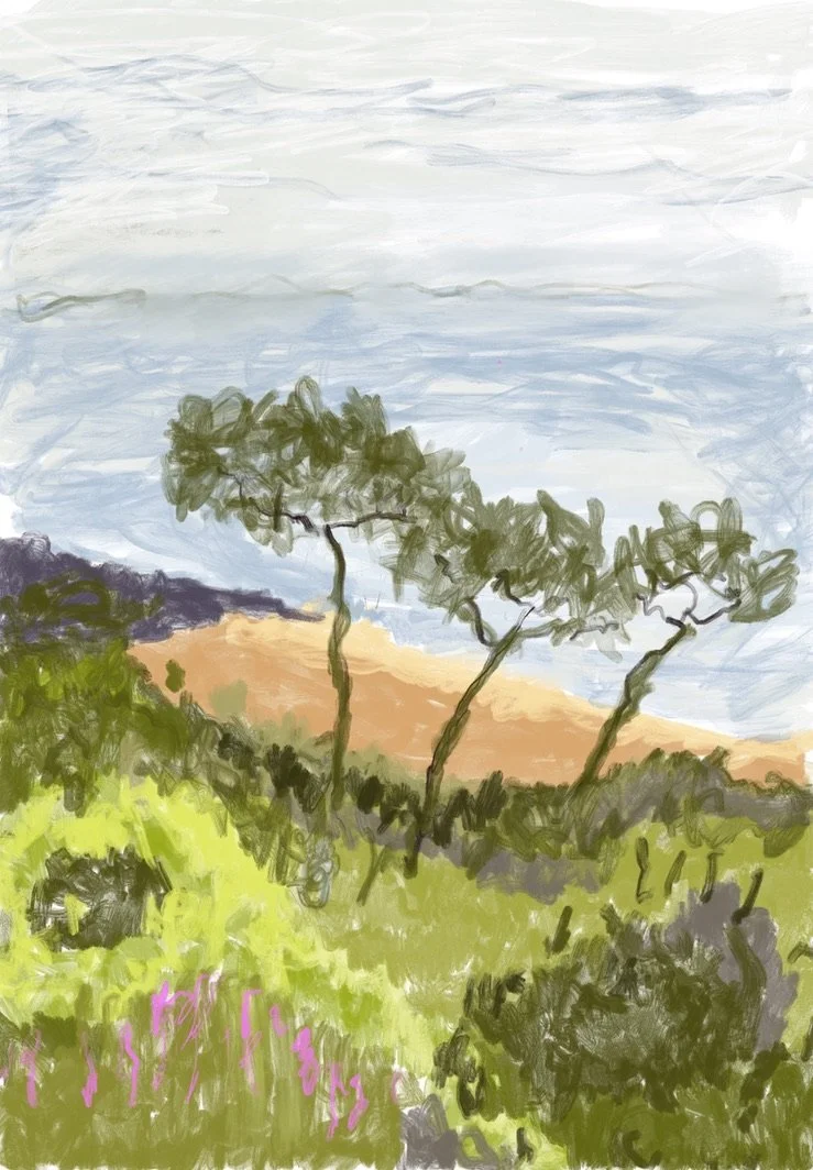 Australian Landscape