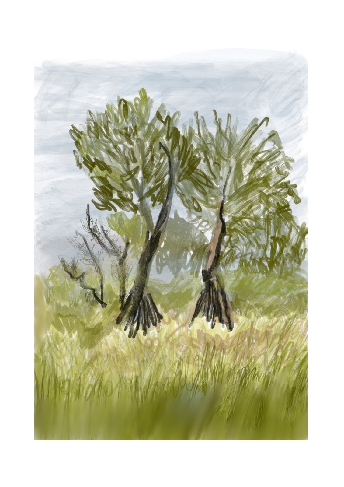 “Noosa” - 60X42cm, Hand painted Digital Oil