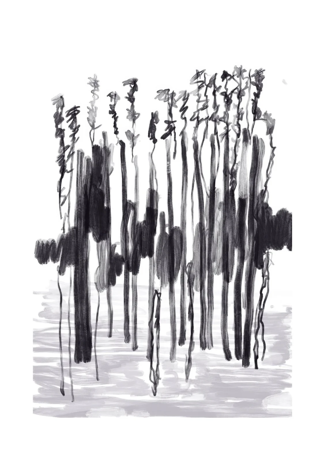 "Murray Reeds" - 60X42 cm, Hand Painted Digital Oil