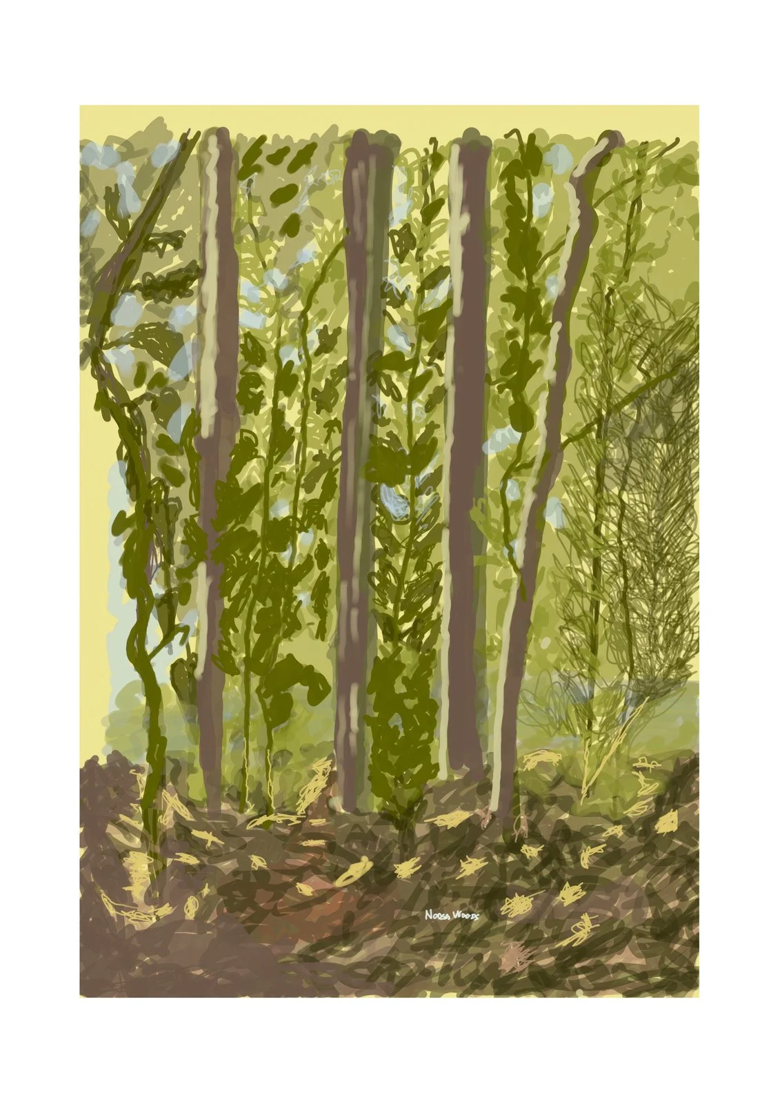 “Noosa Woods” - 60X42cm, Hand painted Digital Oil