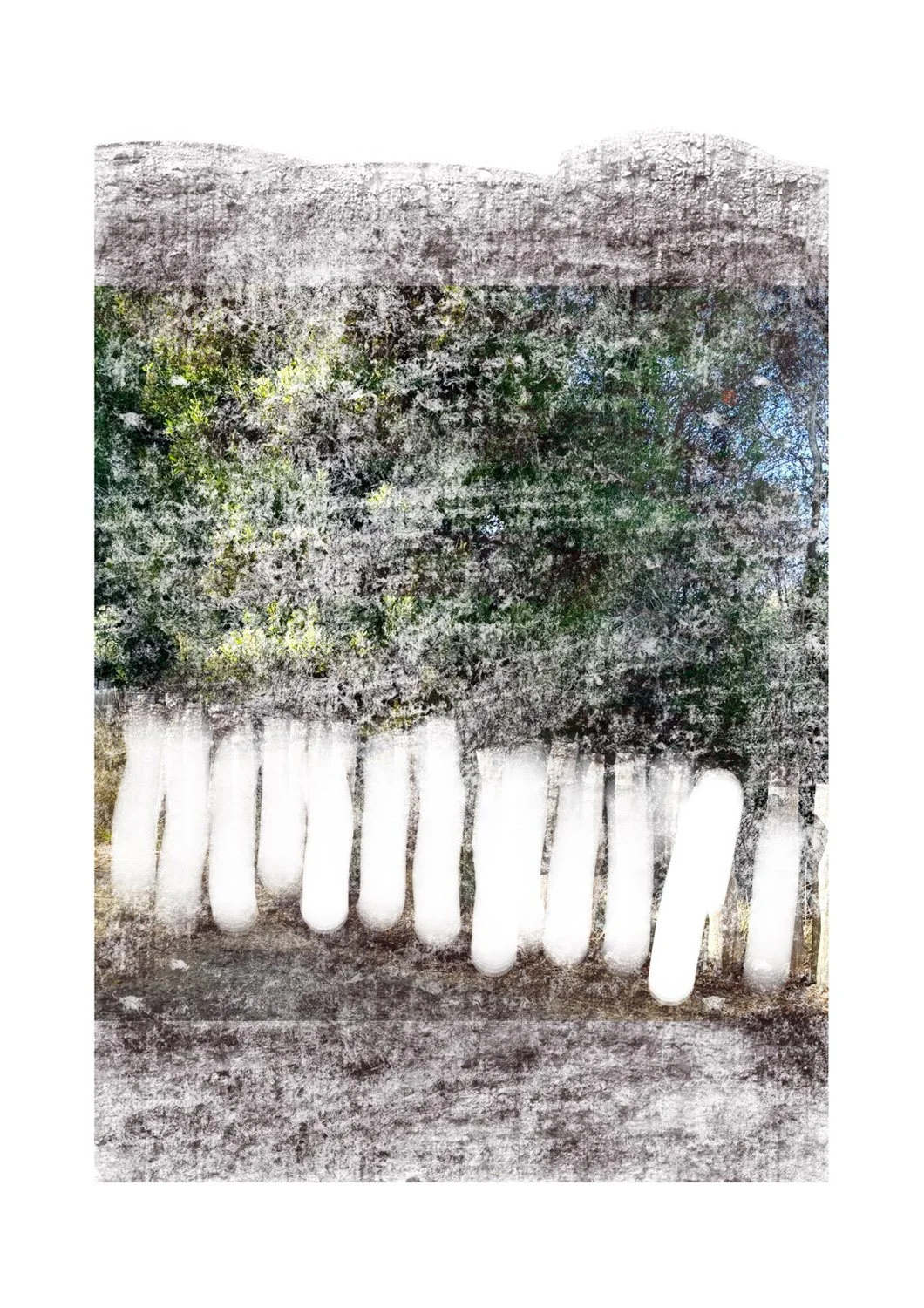 “Pickets” - 30X42cm, Hand painted Digital Oil.