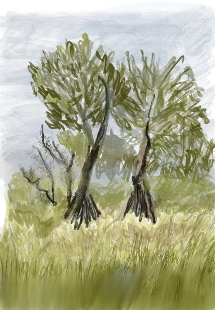 Art