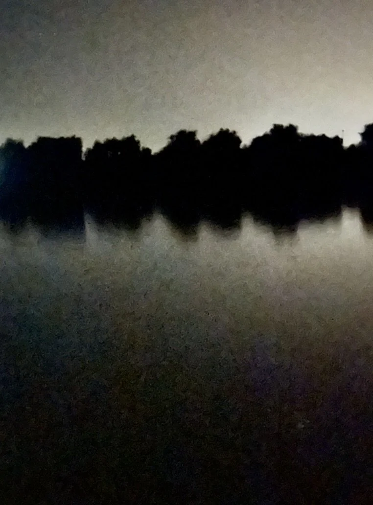 502BE39C-2A64-4029-A3ED-C9D4C84E81C0_1_105_c.jpeg