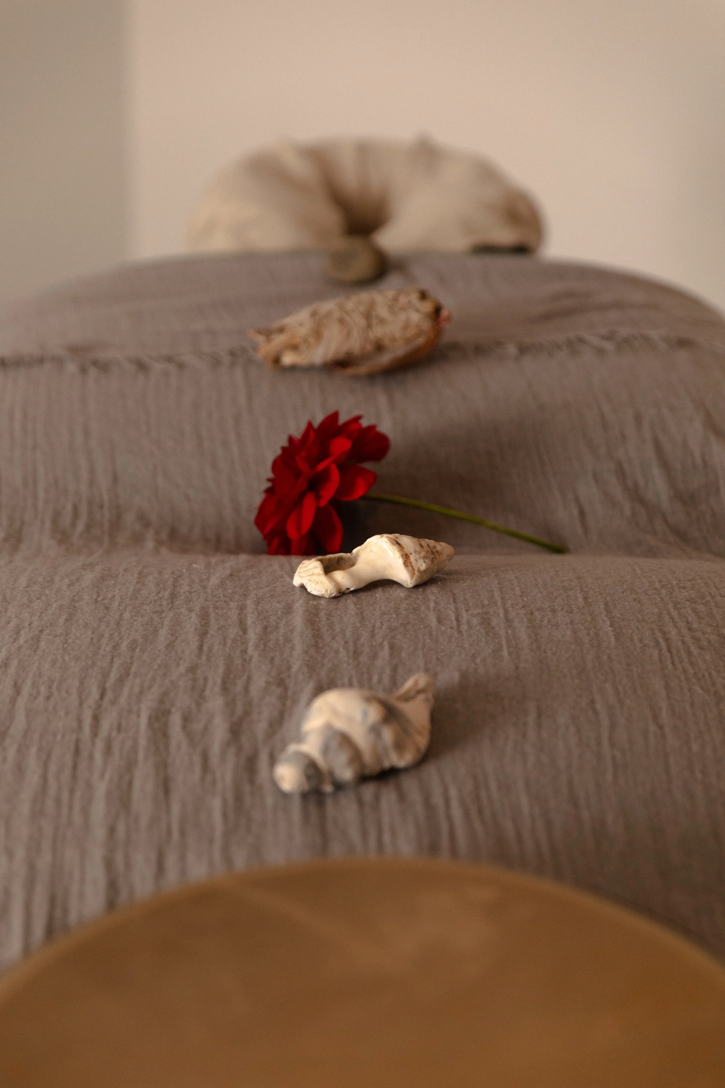 A red flower, four seashells, and a white stone arranged on a gray textured surface with a blurred background. kahuna bodywork and massage, transformative journey. ceremonial