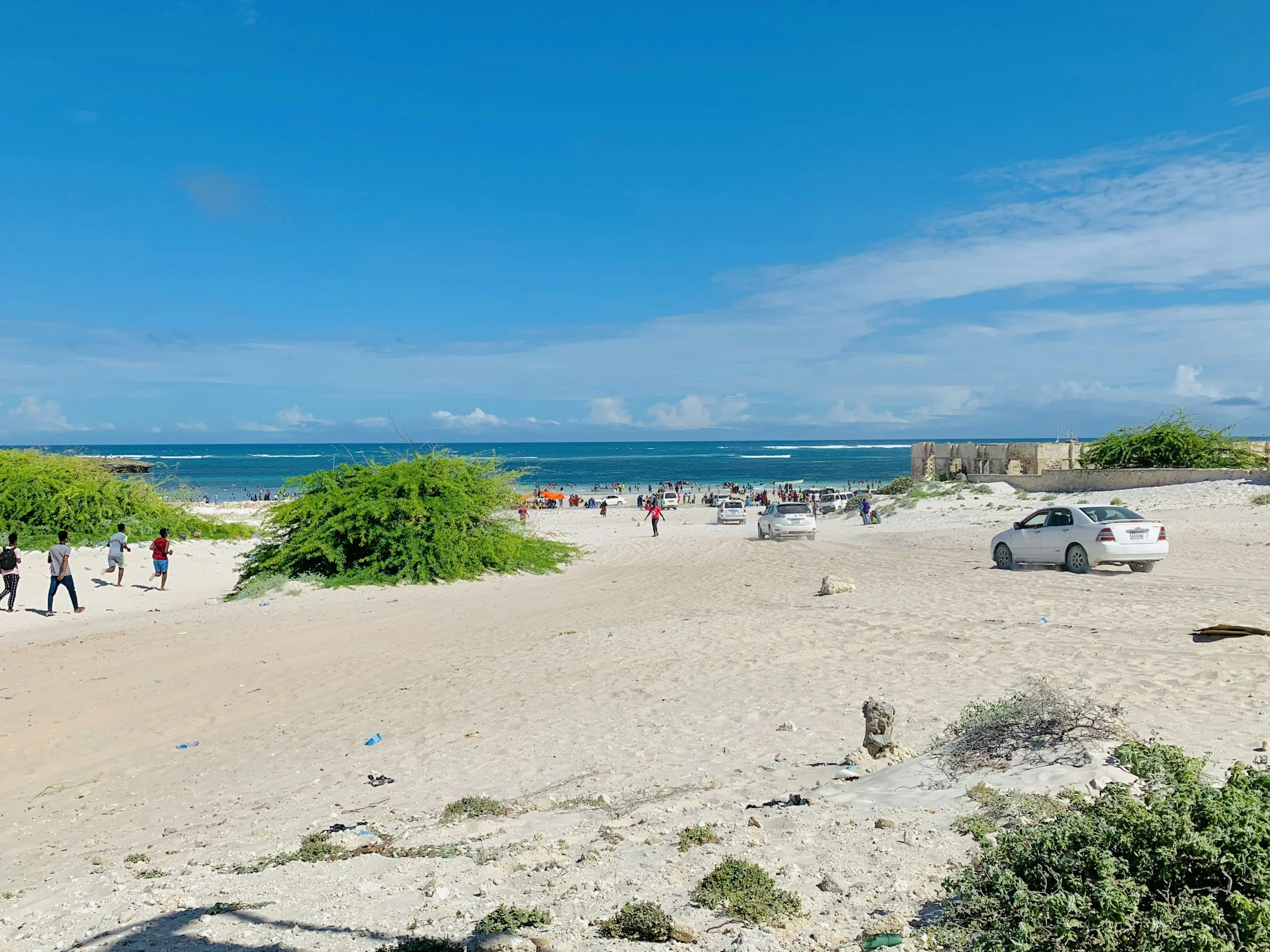 Beach scene with people walking and cars parked on sandy shore, blue ocean and sky in background, green bushes in foreground