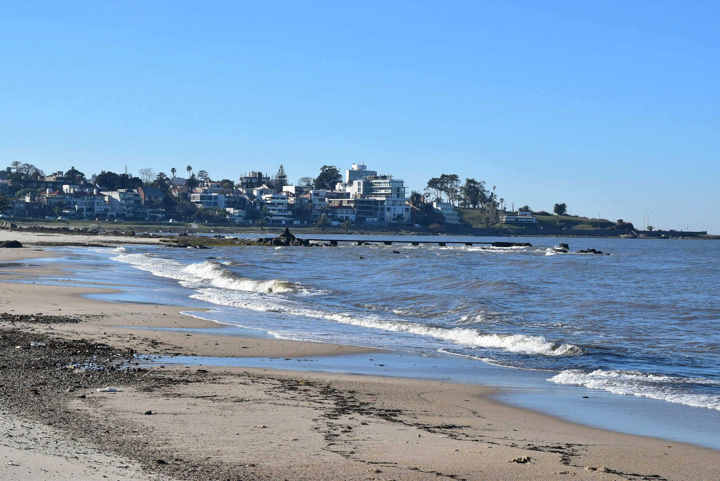 Beach with sandy shore, small waves, and a residential area with modern houses and palm trees in the background under a clear blue sky.