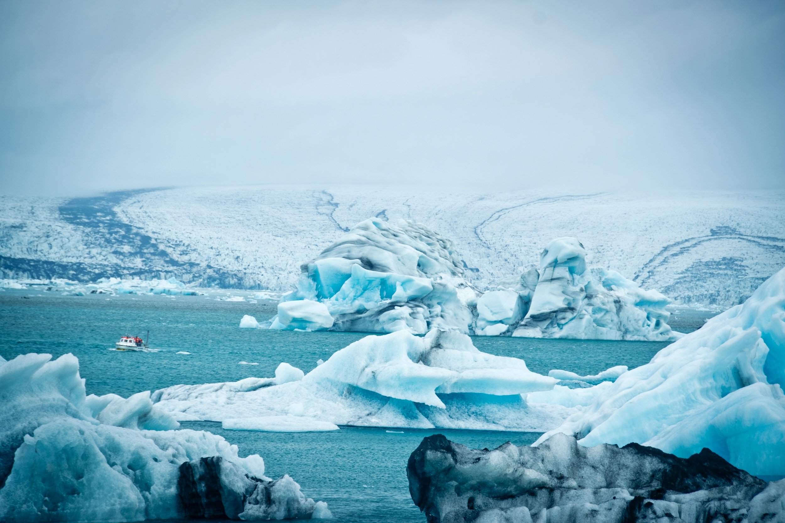 Icebergs floating in the ocean near a snowy, icy landscape in the background.