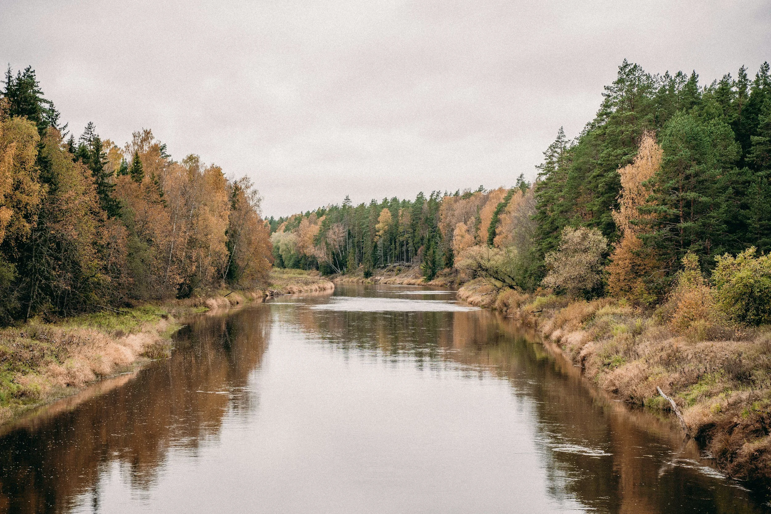 A calm river flowing through a forest with green and autumn-colored trees under a cloudy sky.