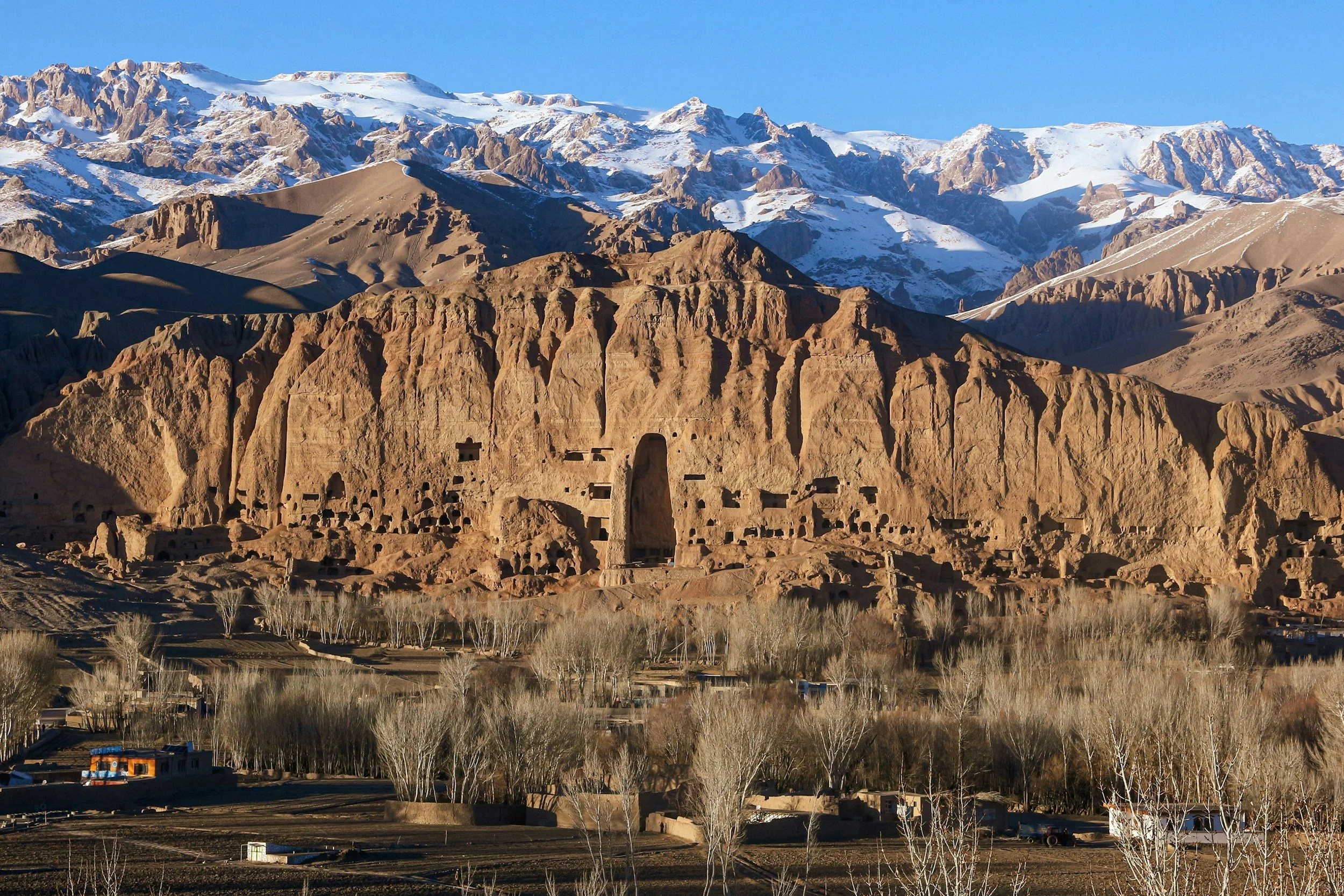 Ancient cliff dwellings built into a large rock face with snow-capped mountains in the background and leafless trees in the foreground.