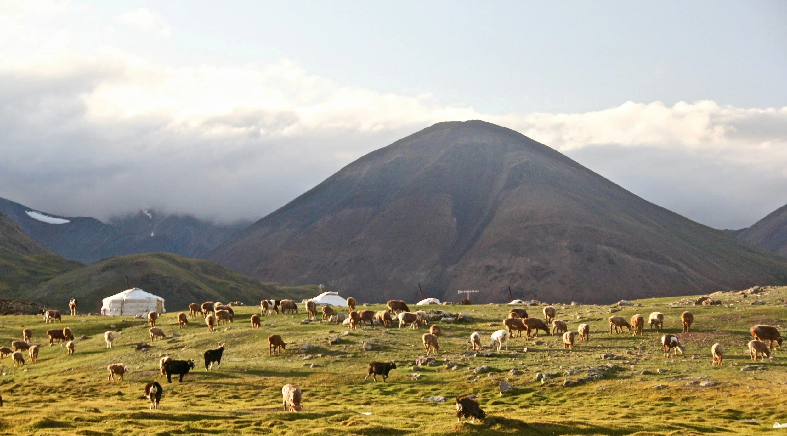 A scenic landscape with a large mountain in the background, a green field in the foreground, and cows grazing.