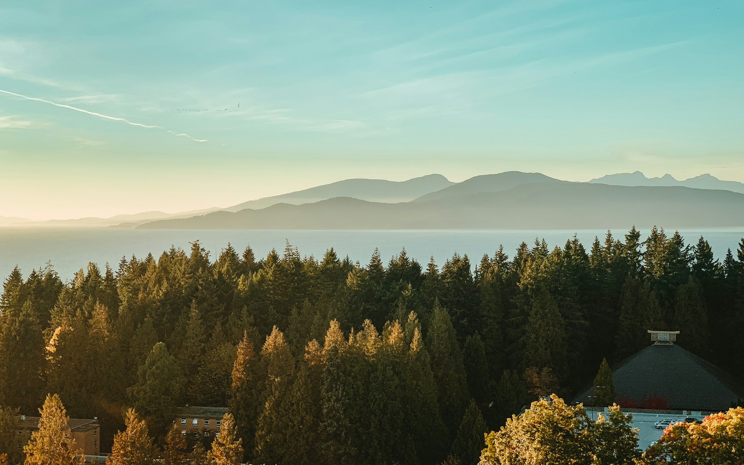 Scenic landscape with a dense forest in the foreground, a large body of water behind the trees, and mountain ranges in the background under a clear blue sky.