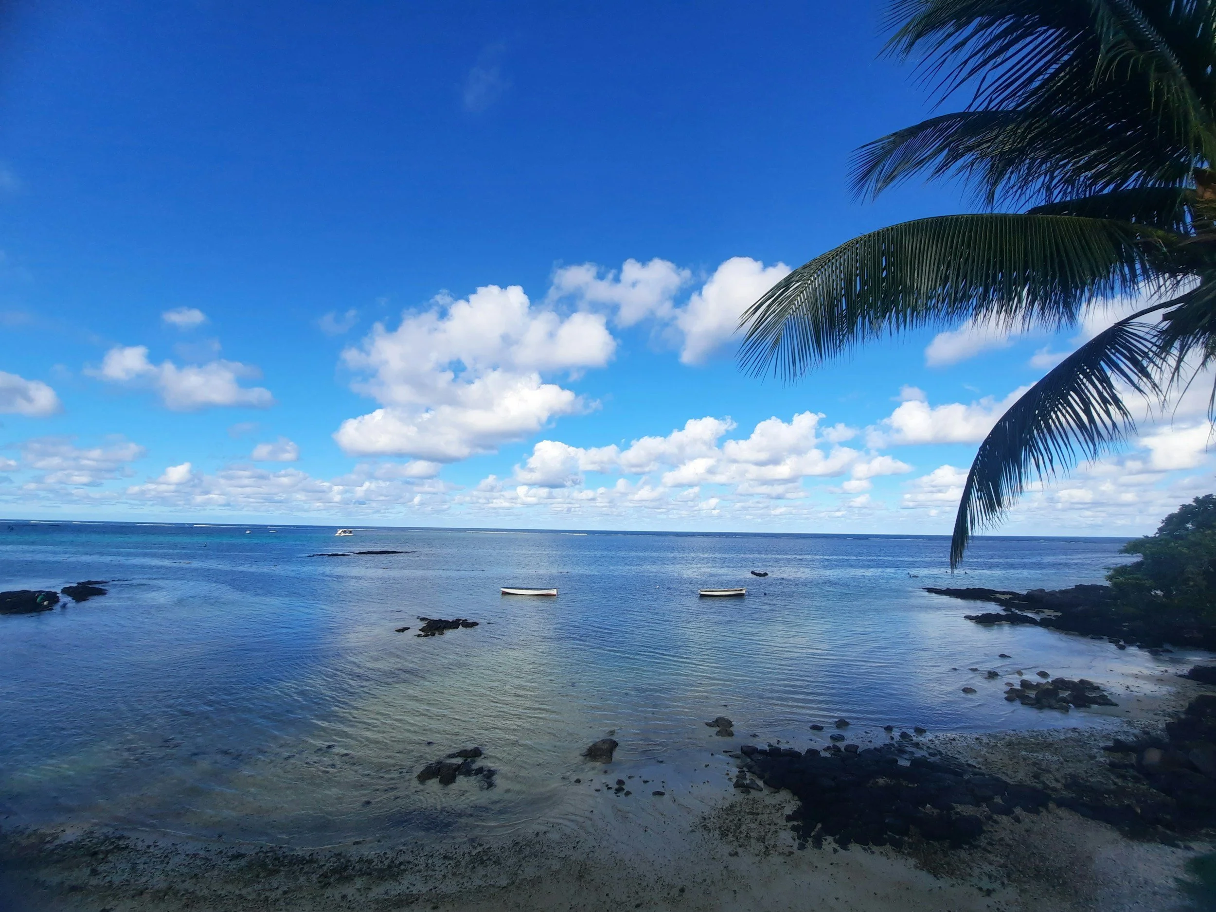 Tropical beach with clear blue water, rocks near the shore, a coconut palm tree on the right, and a sky with scattered clouds.