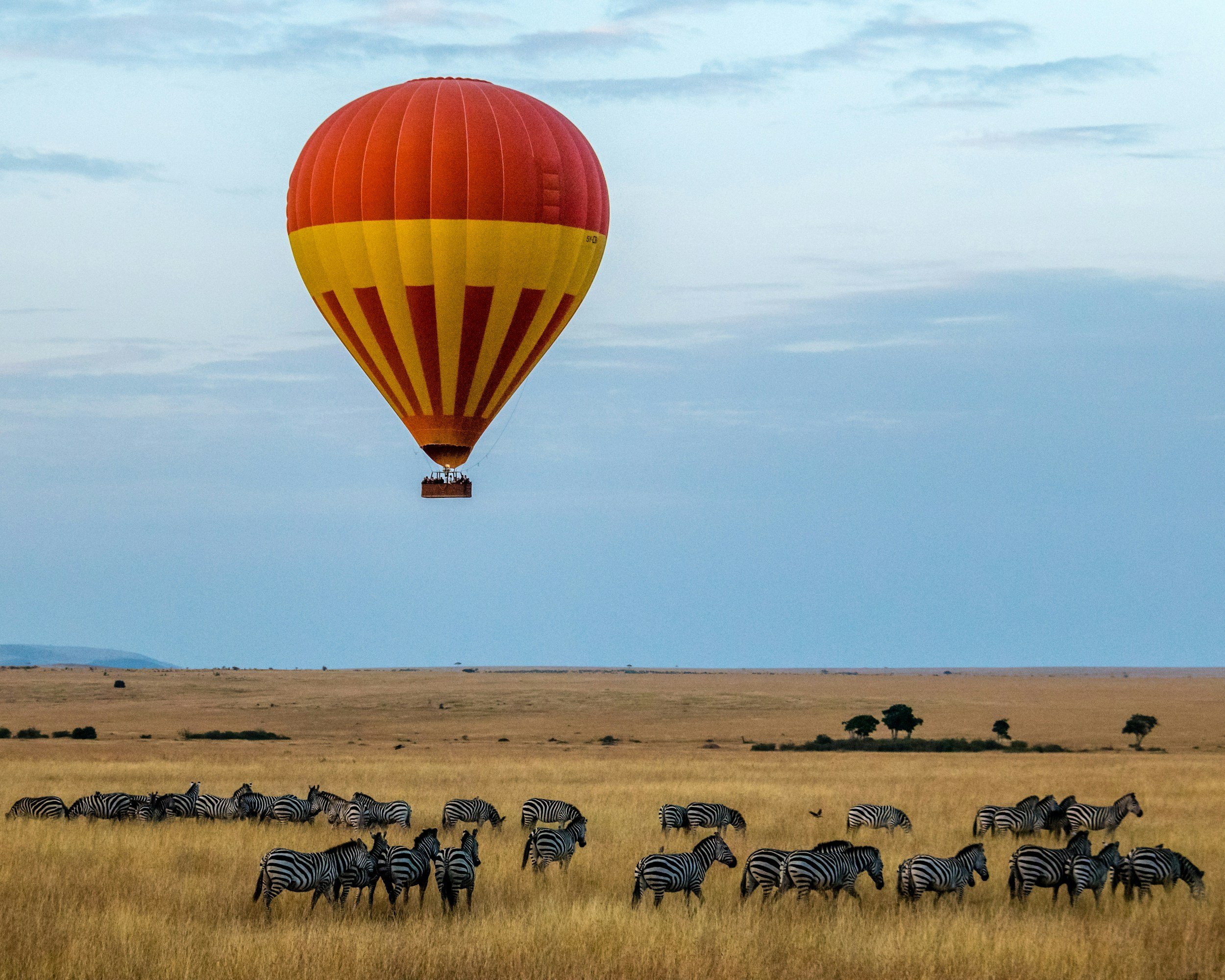 A hot air balloon with red and yellow stripes floating above a grassy plain with a herd of zebras grazing.