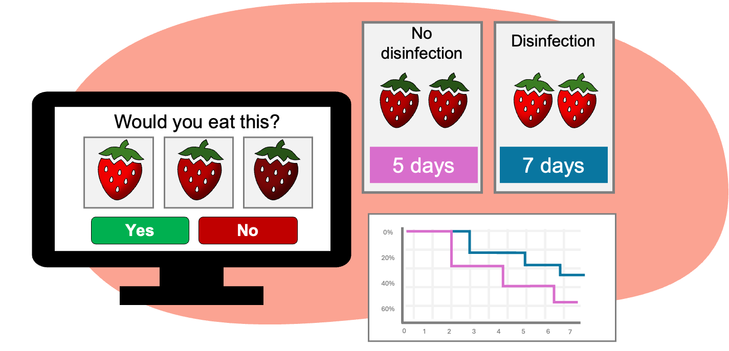Fast, low-cost sensory shelf life estimation for fresh produce