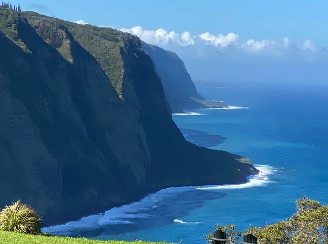 Screenshot 2025-12-21 at 9.07.12 PM.jpeg