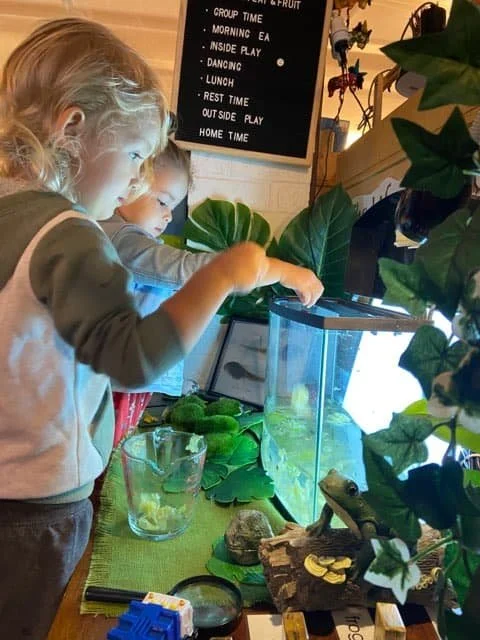 Children investigating nature and science through hands-on discovery at South West Rocks Preschool.