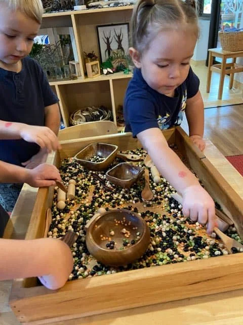 Children exploring a sensory play activity using natural materials at South West Rocks Preschool.