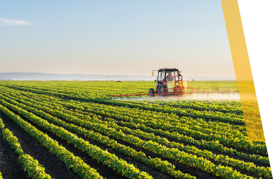 Tractor watering a field of crops in the sun.