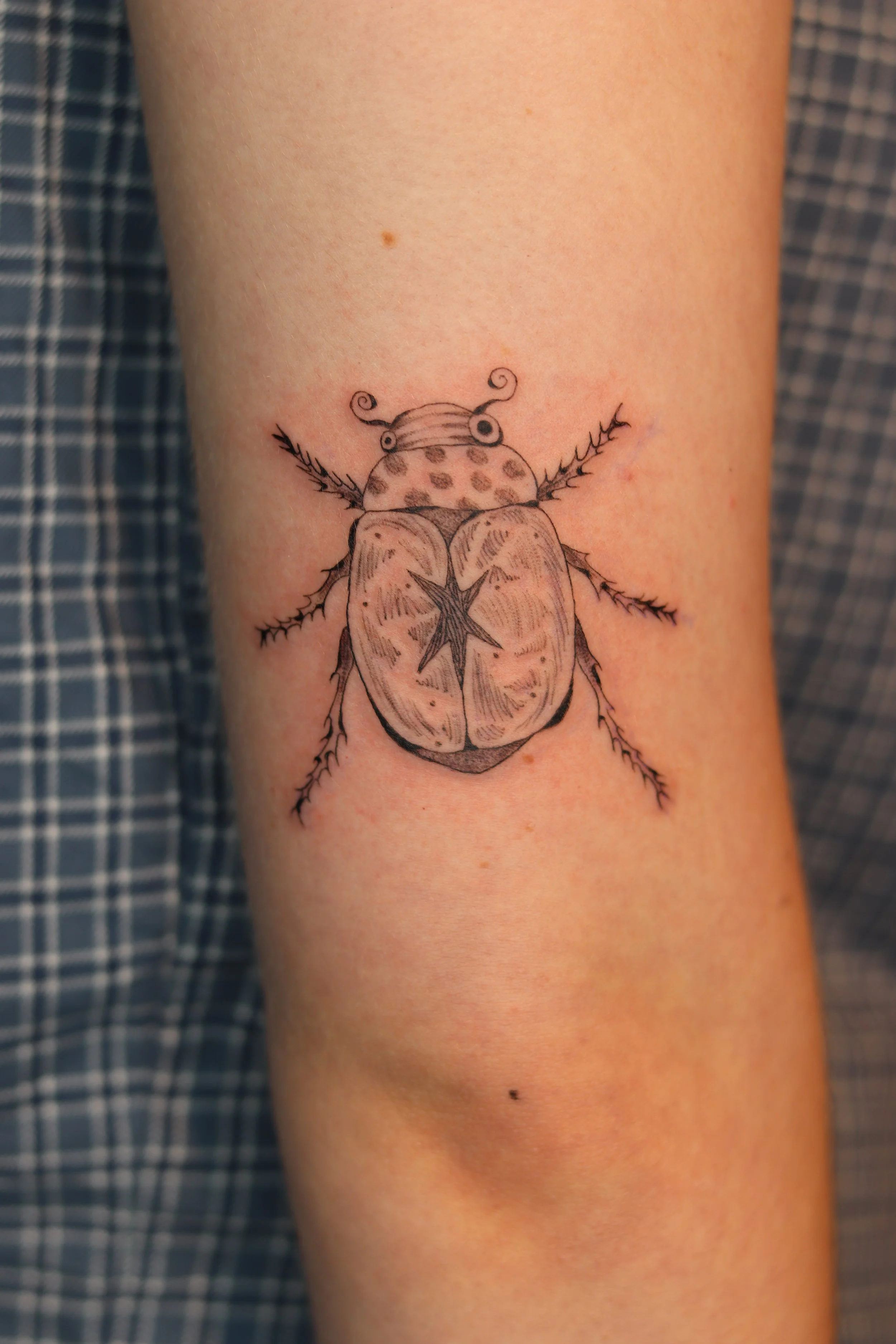 Black and gray tattoo of a ladybug on a person's arm.