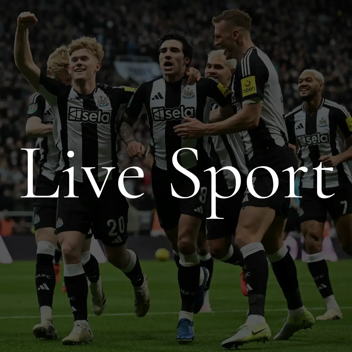 A group of soccer players in black and white uniforms celebrating on the field, some with arms raised and smiling, with a crowd in the background.