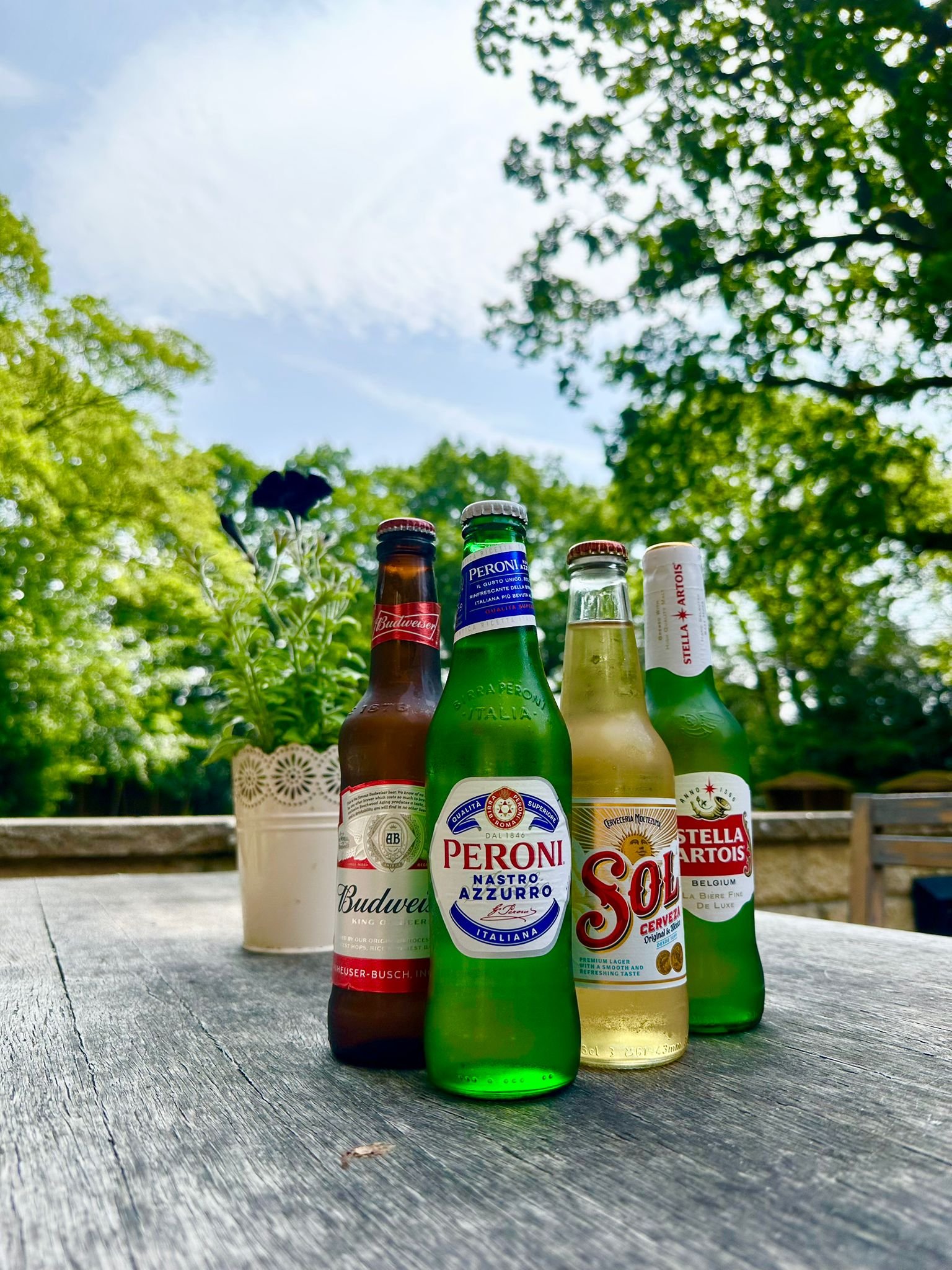 Four bottles of beer, including Budweiser, Peroni, Sol, and Stella Artois, placed on a wooden table outdoors with green trees and a blue sky in the background.