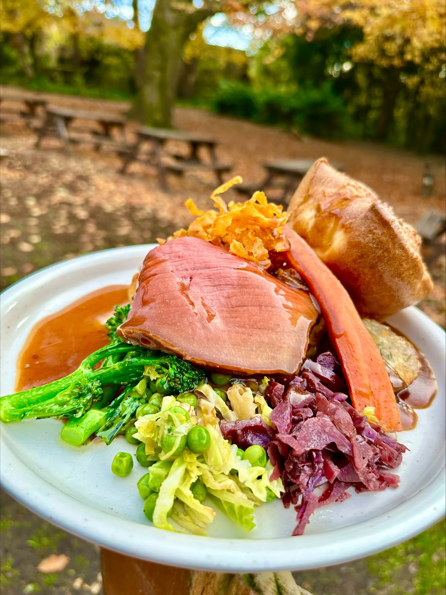 A plate of food with ham, broccoli, peas, shredded beets, and a bread roll, set outdoors in a wooded area with picnic tables in the background.