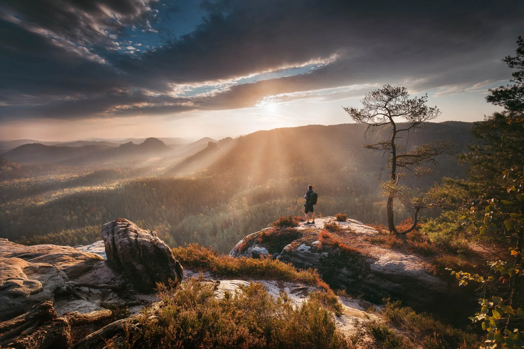 Dramatický výhled na pískovcové skály a lesy zalité ranním sluncem v německém pohoří.