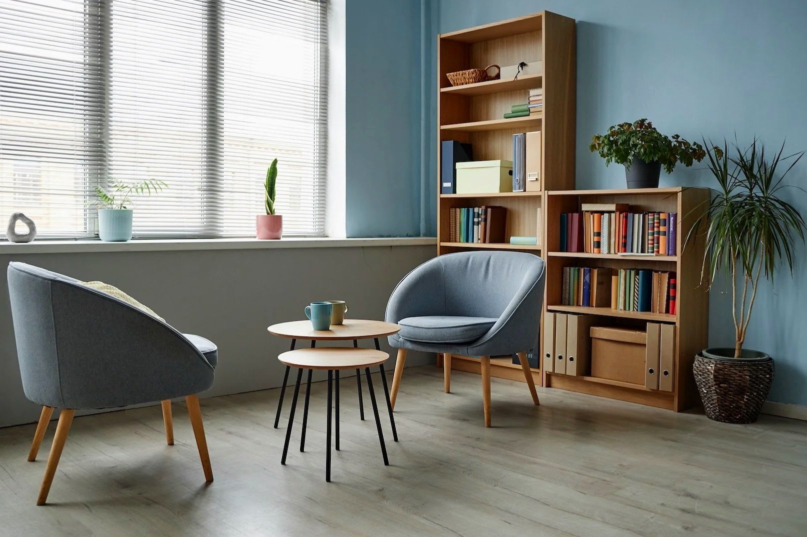 A cozy reading nook with two light blue armchairs, a small round wooden table with two mugs, large window blinds, potted plants, and wooden bookshelves filled with books and decorative items.