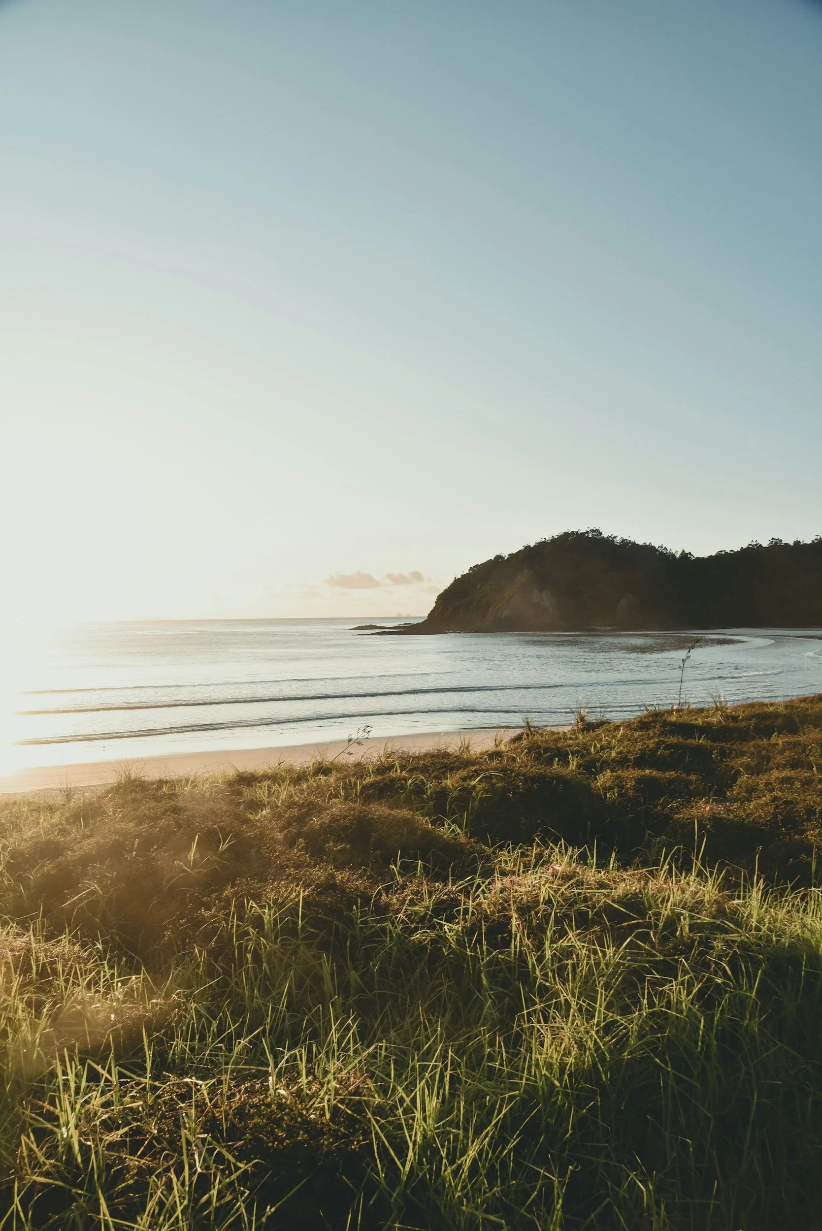 A serene beach scene with green grassy dunes in the foreground, calm ocean waves, a rocky headland in the distance, and a clear sky with the sun low on the horizon.