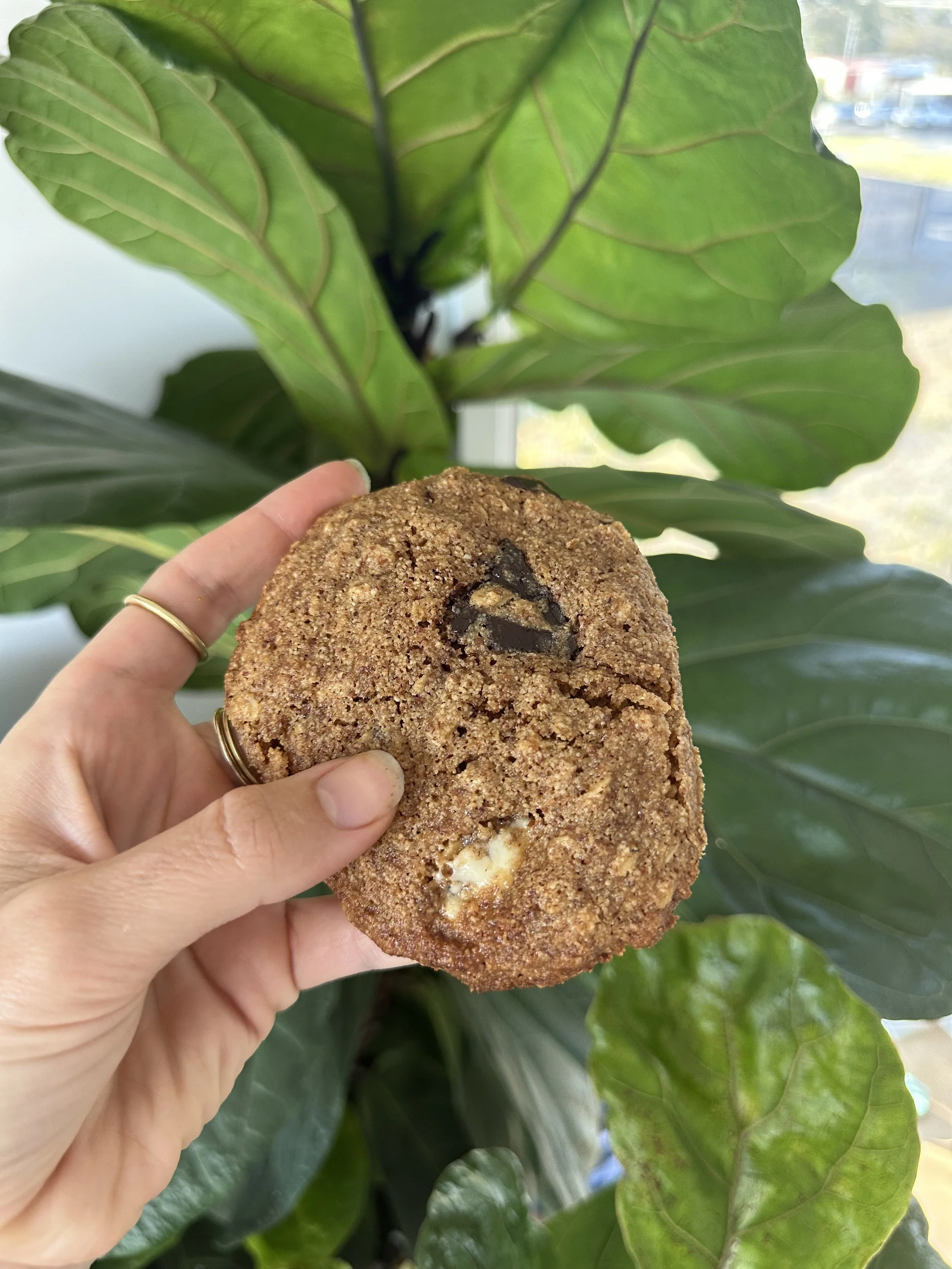 GF + DF Chocolate Chip Cookies