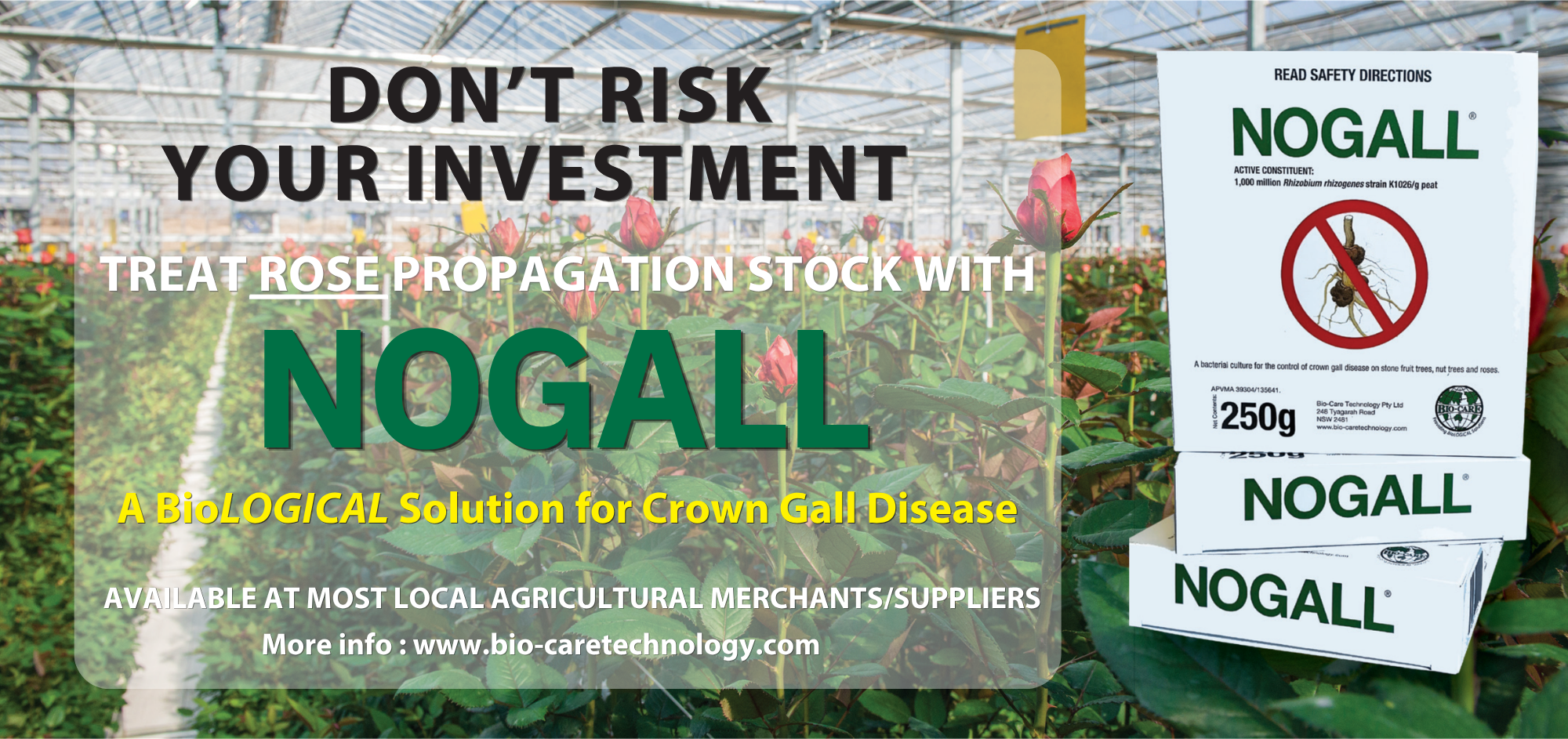 A promotional poster for Nogall, a biological solution for crown gall disease in roses, featuring an image of a greenhouse with roses and a box of Nogall product.