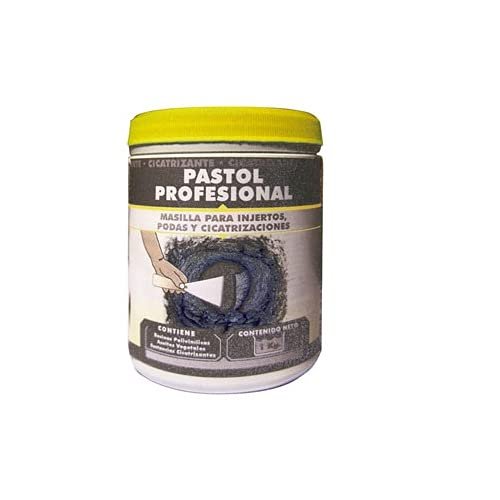 PASTOL 1 KG. PASTA CICATRIZANTE