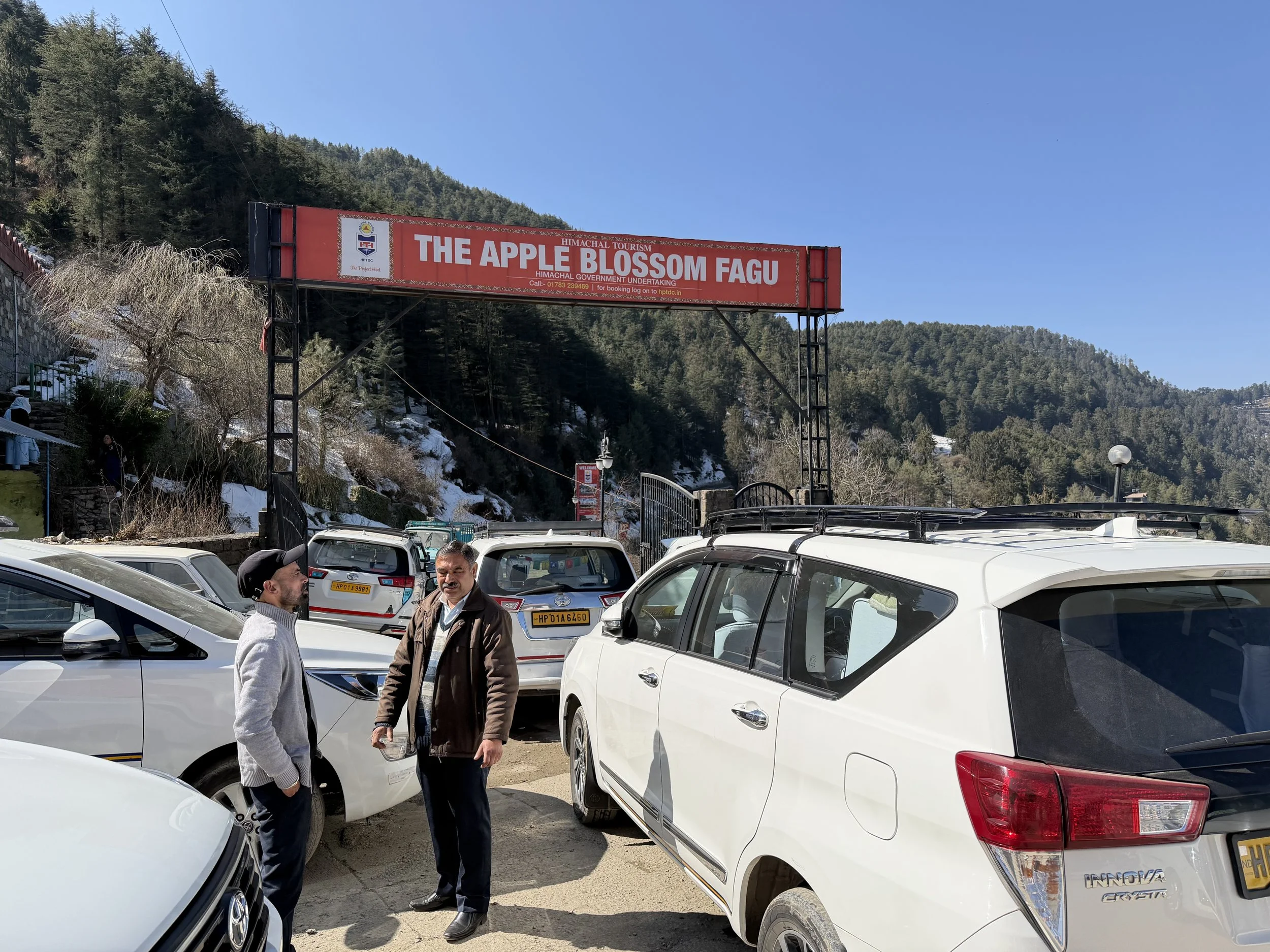 White Toyota cars used for travel near Shimla