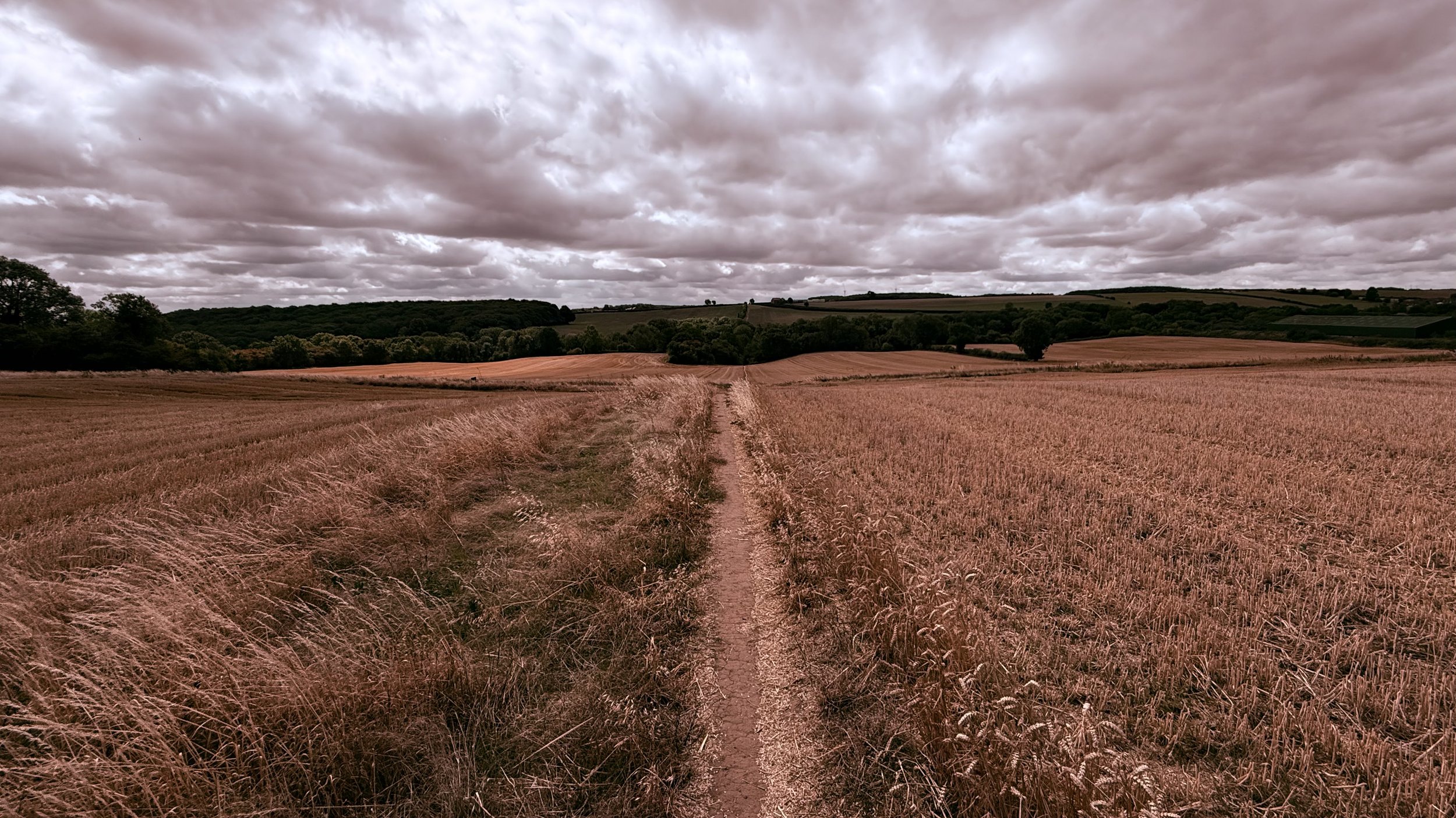 Fields, Woods and Water - Anston to the Chesterfield Canal