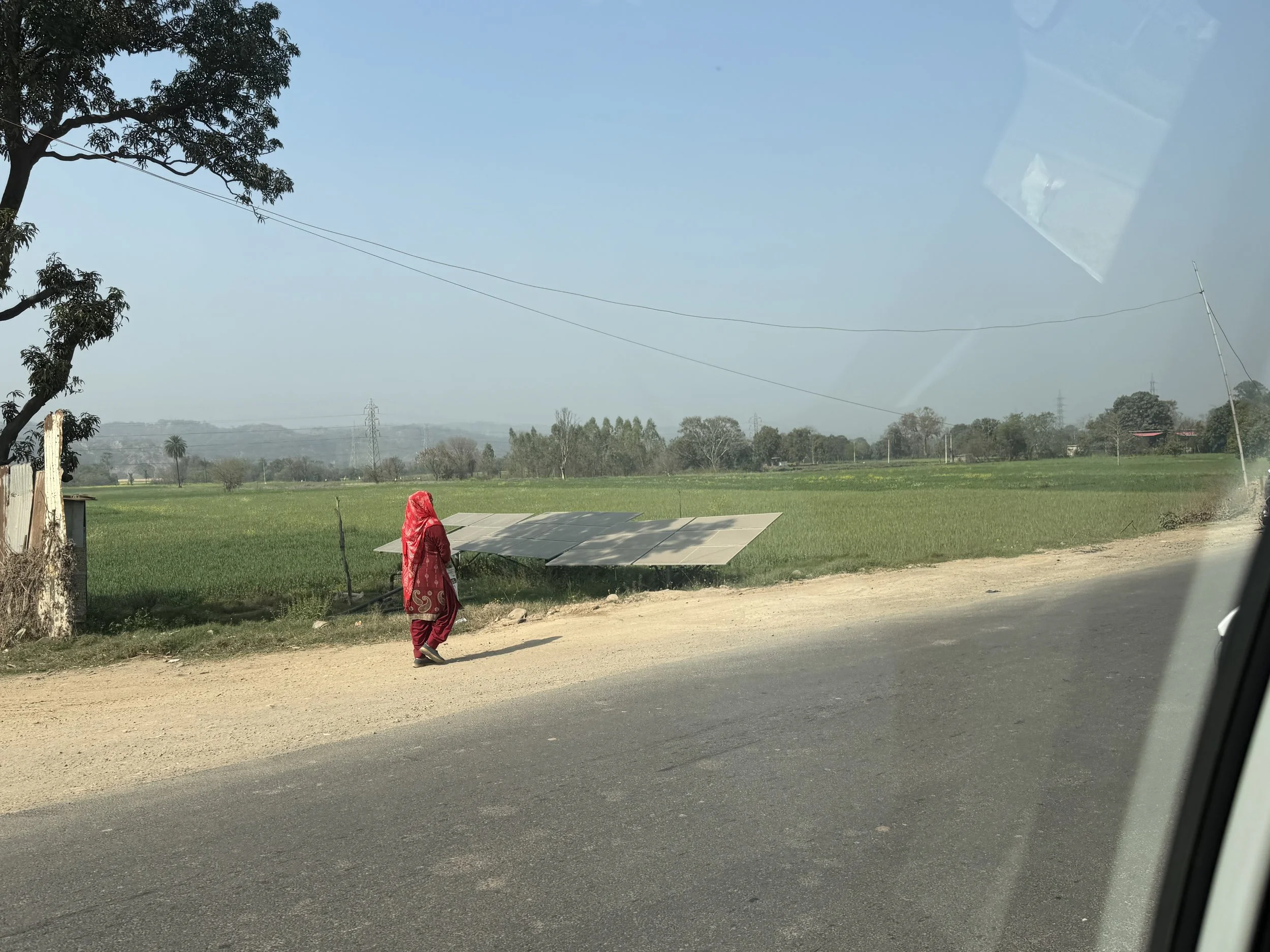 Woman walking along a rural road beside farmland in Punjab during our journey to Amritsar