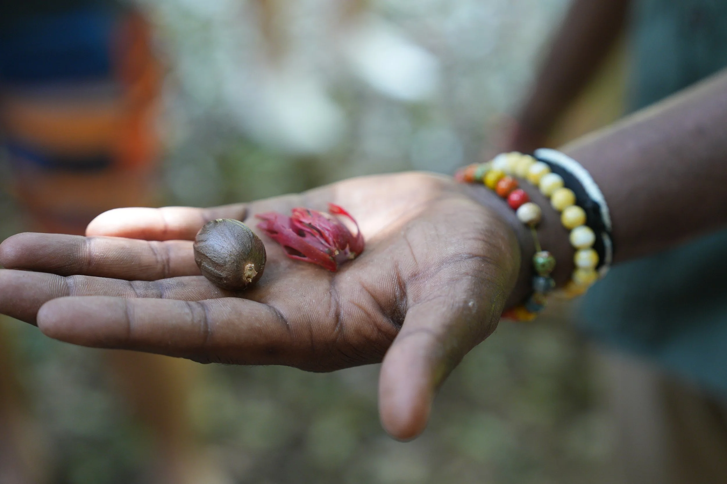 Across the Lake at Periyar