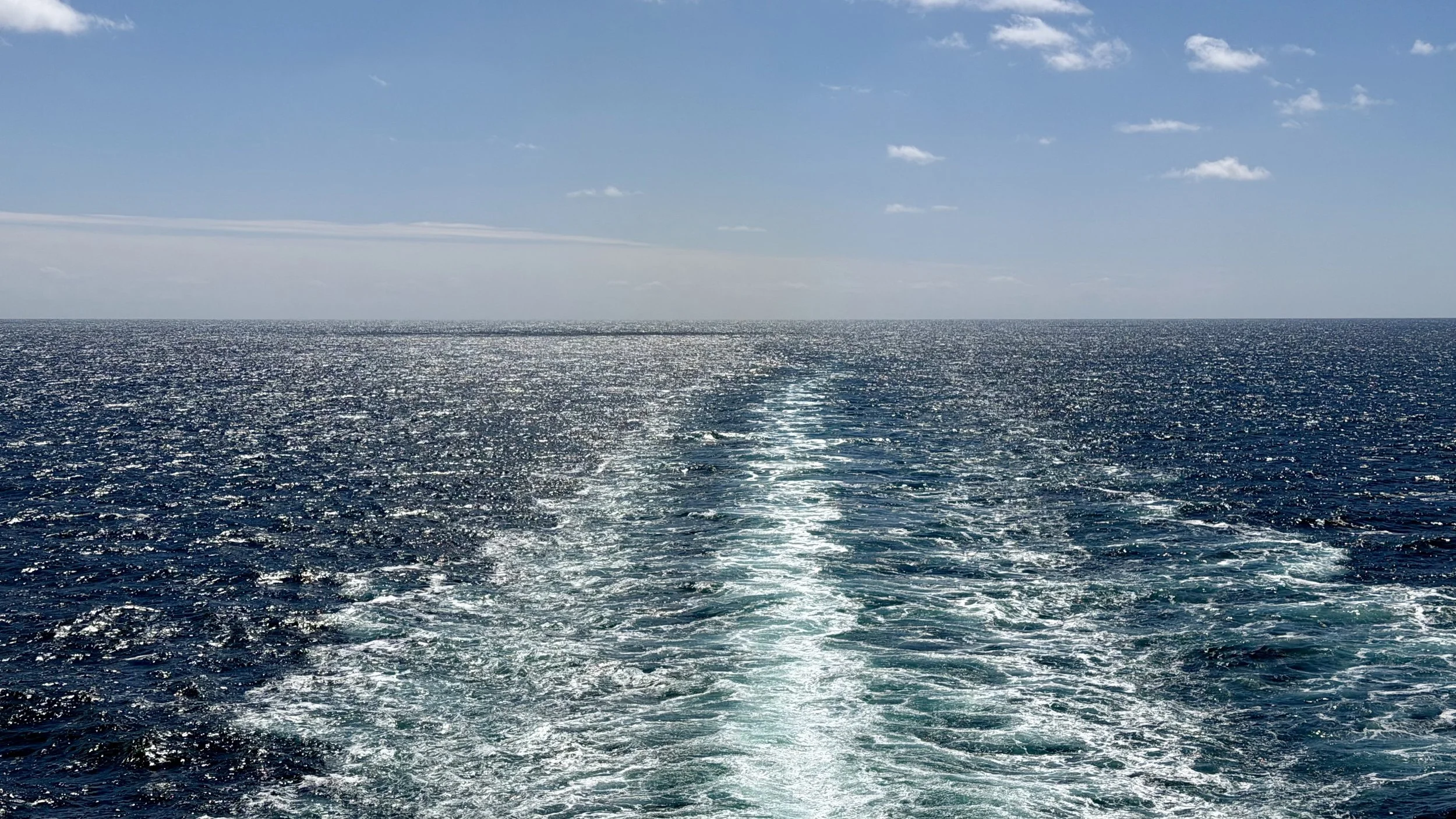 IMG_4236.jpeg