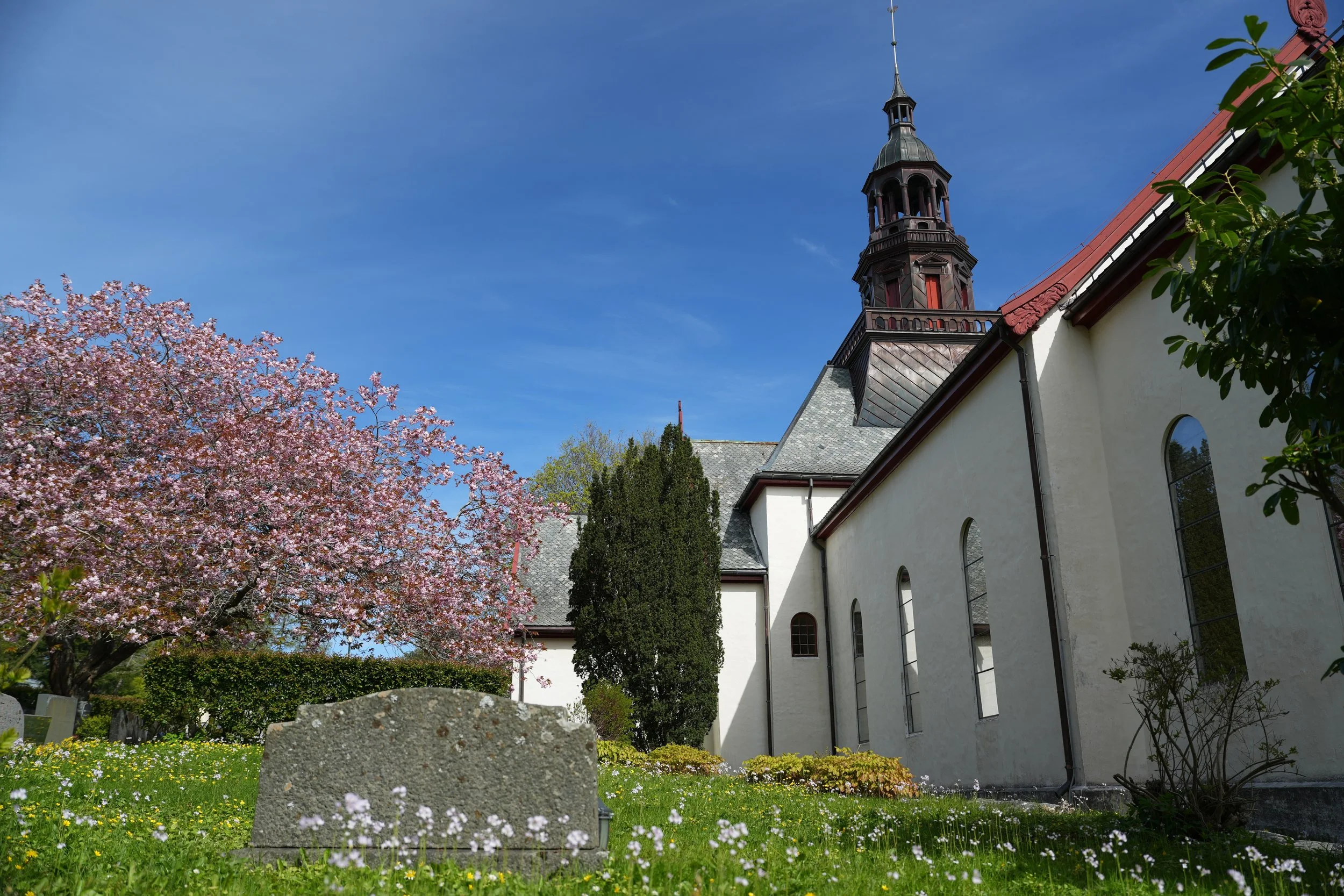 DSC01720.JPG