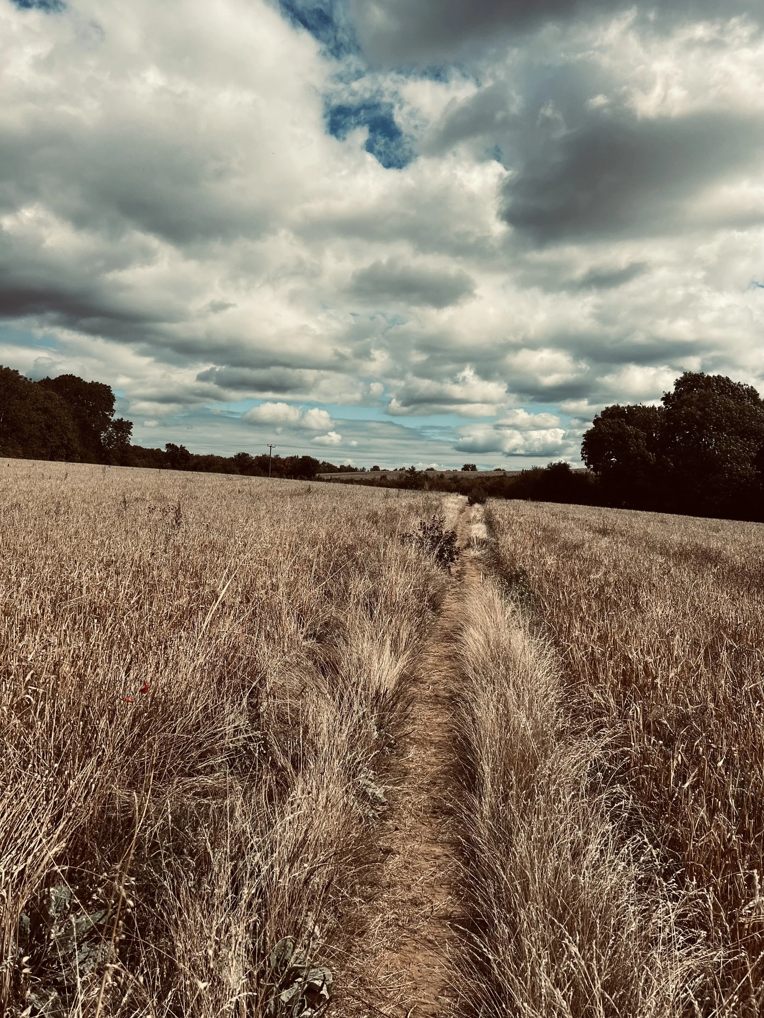 Stubble fields near Anston
