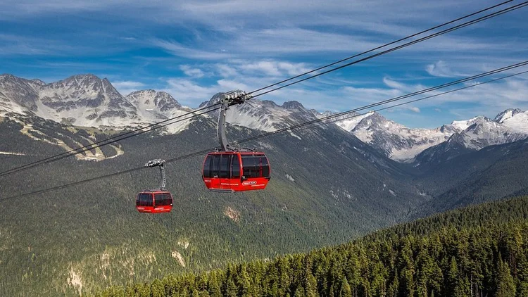 Whistler activity